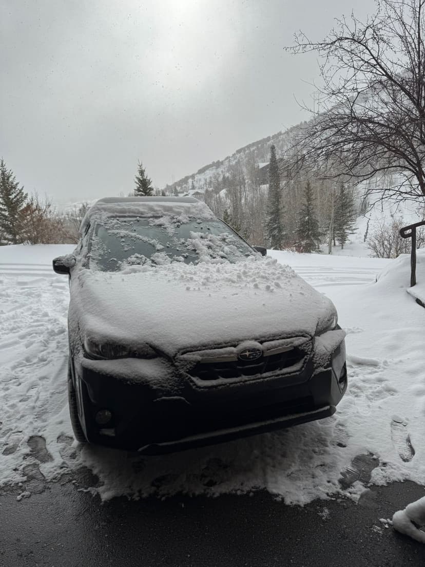 2025 Newsletter Photo 44