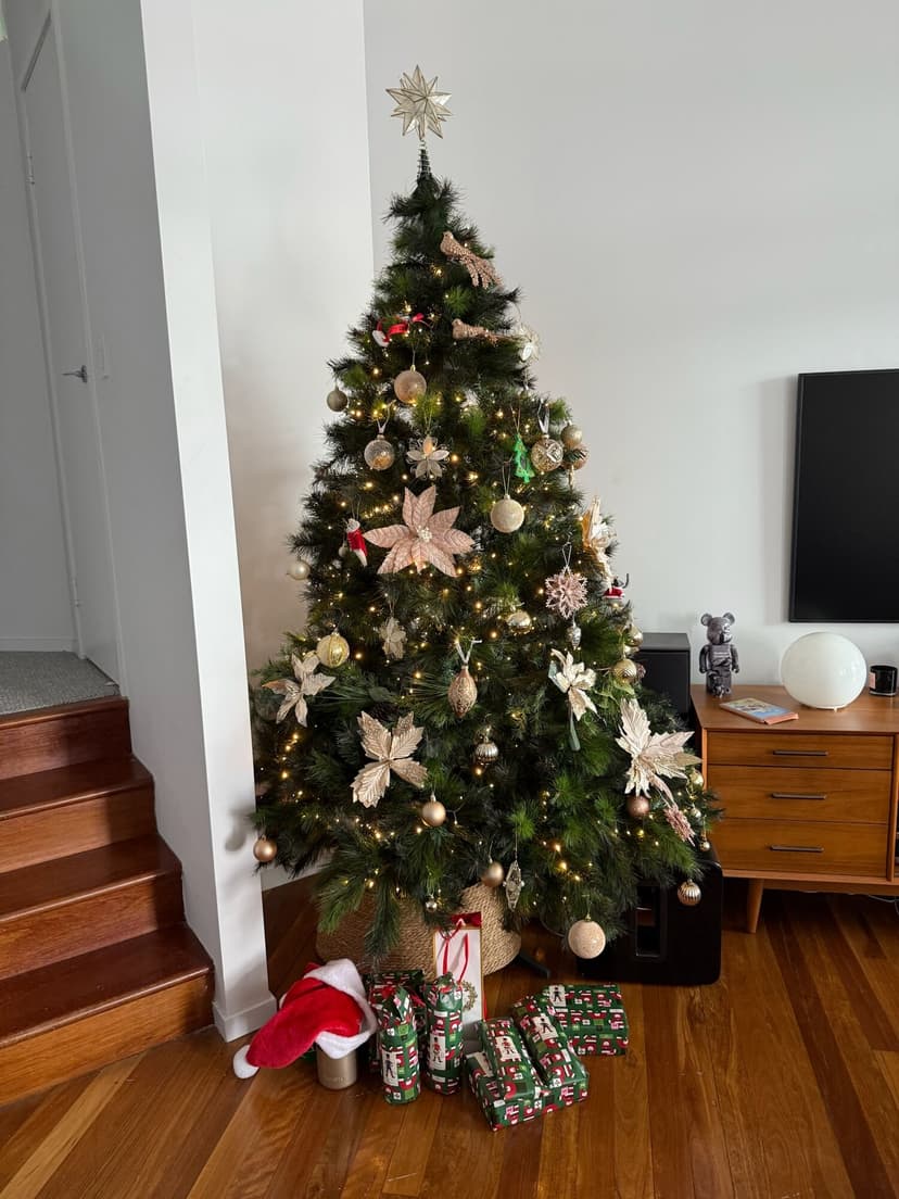 2025 Newsletter Photo 352